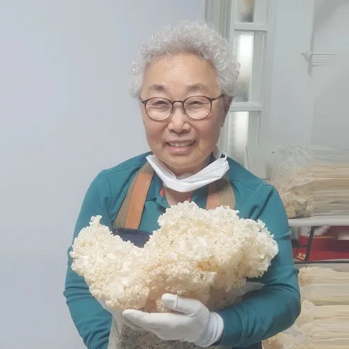 백세농장 무농약 신비의 생 꽃송이버섯 최상급 베타글루칸 함유