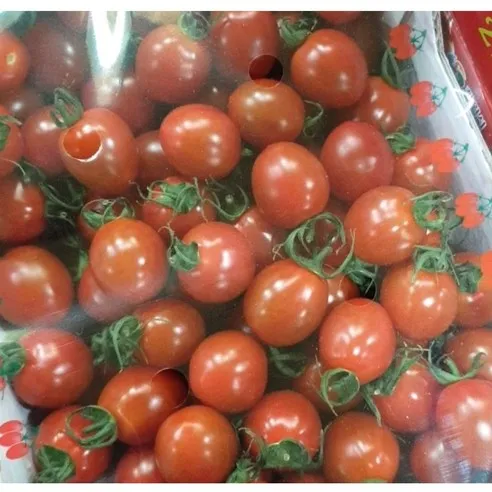 가람상점 짭짤하고 고소한 대추 방울 토마토 4kg 2kg