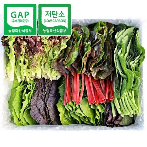 [청년프레쉬] 충북 충주 GAP 모듬 쌈채소 샐러드야채 600g 1kg 로메인 케일 양상추 치커리 적근대 적겨자