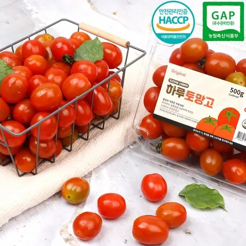 [달찐과일] HACCP+GAP인증 정품 스테비아 방울토마토/완숙토마토 당일수확발송