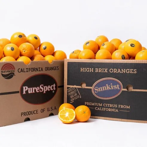 과일꾼 블랙라벨 고당도 오렌지, 5.7kg (중과 ..., 1개
