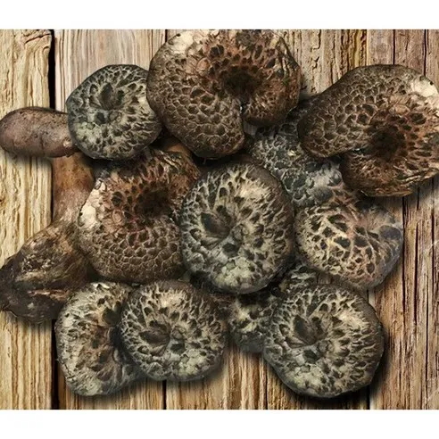 티벳농부 냉동 능이버섯 2kg, A급 2kg, 1개